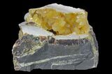 Fluorescent, Yellow Calcite Crystal Cluster - South Dakota #170680-1